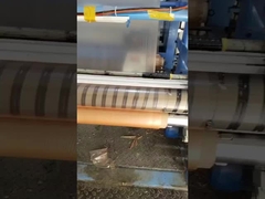 Antibakteriyel tozlarla su çözünür PVA filmi